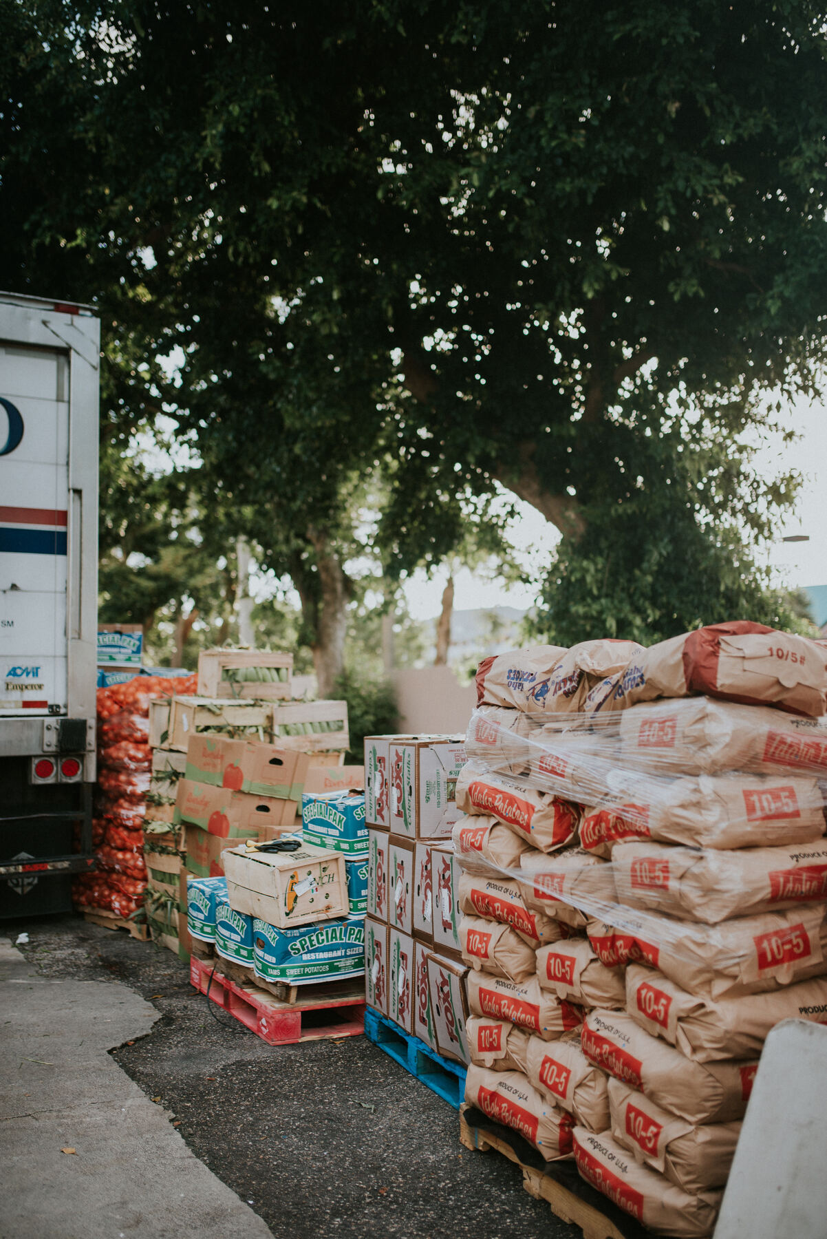 Truckload of fresh produce arriving for the Thanksgiving drive
